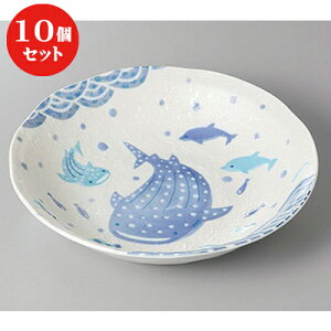 10Zbg  g Wx[5.0 [ 16.8 x 4cm ] |   {E {[ H Ɩp HX JtF    킢   Mtg v[g o j 