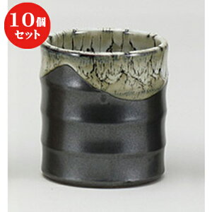 10Zbg  ㏬ Vڔ͂ [ 10.5 x 11cm ] | lC  H mH Ɩp HX JtF    킢 Mtg v[g a i HZbg HZ