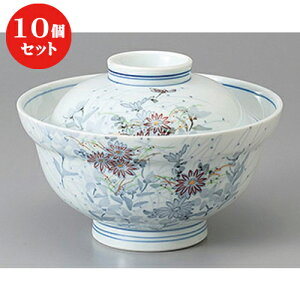 10Zbg W /ÐtW [ 15.5 x 11cm ] | Ԃ  ǂԂ H Ɩp HX JtF    킢   Mtg v[g o j j a