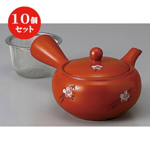 10Zbg }{ /D2 ~ JSA~350cc ] | |bg }{ イ yr  ꕞ ܂ lC  H Ɩp HX JtF    킢 Mtg v[g 