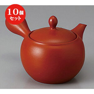 10Zbg 튊}{ /Dی^n}{(A~)330cc ] | |bg }{ イ yr  ꕞ ܂ lC  H Ɩp HX JtF    킢 Mtg v[