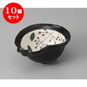 10Zbg  DVЌЂ [15.2 x 11.8 x 7.1cm] |     {E \ lC  H Ɩp HX JtF    킢 Mtg v[gj 