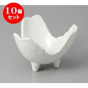 10Zbg ό` ֊R [13.5 x 13 x 8.6cm] |     {E \ lC  H Ɩp HX JtF    킢 Mtg v[gj j
