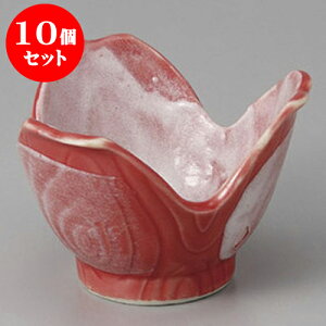 10Zbg  ԍʉԎObR [9 x 9 x 6.5cm] |  t  M Е 򖡓  lC H Ɩp HX JtF    킢   Mtg v[