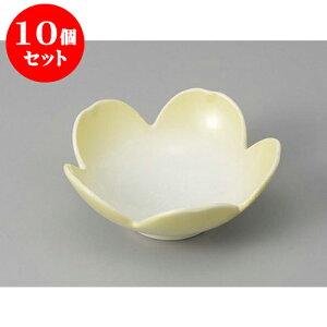 10Zbg ԓ CG[^ [11.4 x 4.4cm] |     {E \ lC  H Ɩp HX JtF    킢 Mtg v[gj j