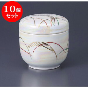 10Zbgނq X^[Ėڂނq [7.8 x 8cm]  | q ނ  i q ނq H Ɩp HX  킢 Mtg v[g o a 