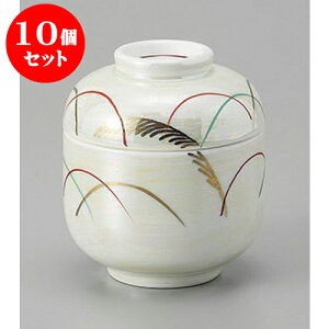 10Zbg ނq X^[~jq [7 x 8cm] | q ނ  i q ނq H Ɩp HX  킢 Mtg v[g o a 蕨 