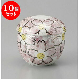 10Zbg ނq X^[؁Xނq [6.7 x 7.2cm]  | q ނ  i q ނq H Ɩp HX  킢 Mtg v[g o a 蕨 