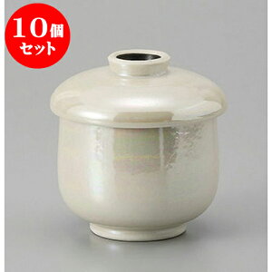 10Zbg ނq X^[q [6.9 x 8cm] | q ނ  i q ނq H Ɩp HX  킢 Mtg v[g o a 蕨 i H