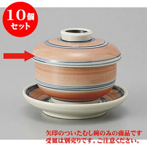 10Zbg ނq (sN)~j~jq [7 x 6.2cm 120cc] | q ނ  i q ނq H Ɩp HX  킢 Mtg v[g o a 