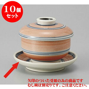 10Zbg ނq (sN)M [9 x 2cm] | q ނ  i q ނq H Ɩp HX  킢 Mtg v[g o a 蕨 i H