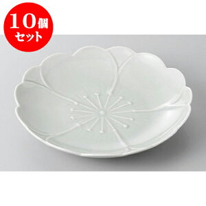 10Zbg aM LcĂ@(n)MD15cm [15 x 2cm] | M t[cM َqM H Ɩp HX JtF    킢  Mtg v[g o j