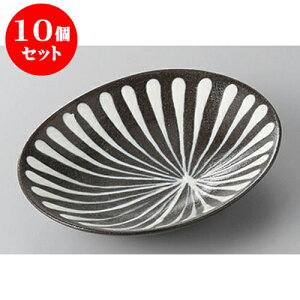 10Zbg XM XbvEFAȉ~M(i) [16.2 x 13.3 x 3cm] y | M t[cM َqM H Ɩp HX JtF    킢  Mtg v[g 