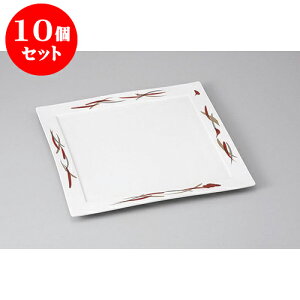 10Zbg pM ԋʍѐp6M [17.7 x 17.7 x 1.5cm] | M M lC  t[cM p[eB[ pX^M H Ɩp HX JtF   Mtg v[g o 