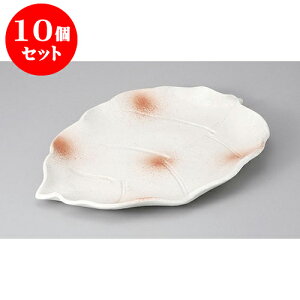 10Zbg ό`M t`I[hu [36.7 x 26 x 4.2cm] | ό`M M aM lC  H Ɩp HX JtF    Mtg v[g o j j a