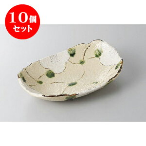 10Zbg ό` iqԒЕM [22 x 15 x 4.5cm] y | 蔫  \ 蔫  H Ɩp HX JtF    킢    킢 