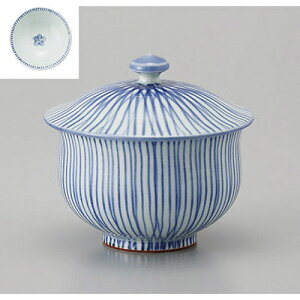 Lcĉԏ\Wto [10 x 8.5cm] |  ̂  璃 ꕞ lC  H Ɩp HX JtF    킢 Mtg v[g o a 蕨 i