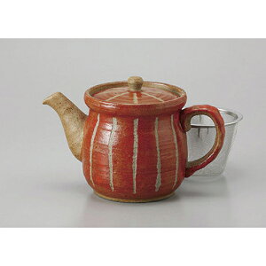 |bg \()|bg(UJSt) [365cc] | |bg }{ yr g R[q[ ܂ lC  H Ɩp HX JtF    킢 Mtg v[g o a