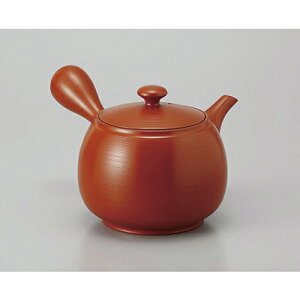 }{ DXW}{(₩A~) [500cc] y | |bg }{ イ yr  ꕞ ܂ lC  H Ɩp HX JtF    킢 Mtg v[g 