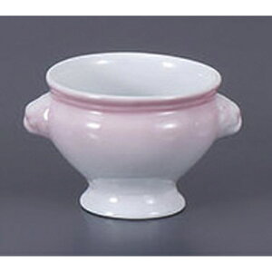 X[vJbv CIgt()sN [11.8 x 9.8 x 7.3cm 250cc] | X[vq X[v X[v}O `o lC  H mH Ɩp HX JtF    킢 Mtg v