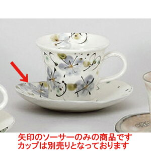 qM r[hԉMXM [14.4 x 12.9 x 2cm] y | R[q[ Jbv eB[ \[T[ M lC  H mH Ɩp HX JtF    킢 Mtg v[