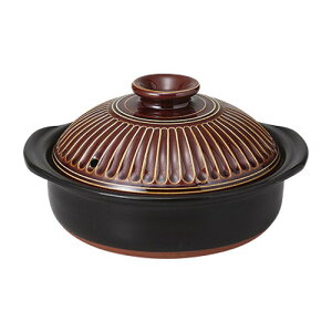 y eԃA6 [21 x 19 x 11.5cm] y  | y  1lp 1l 2lp CX^  قق lC  H Ɩp HX JtF    킢 Mtg 