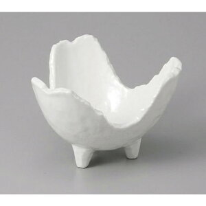 ό` ֊R [13.5 x 13 x 8.6cm] |     {E \ lC  H Ɩp HX JtF    킢 Mtg v[gj j a 
