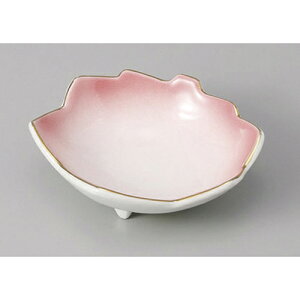 ԓ sNJGf^ [10.8 x 10 x 3.7cm]  | p {E {[  XNGA H Ɩp HX JtF    킢   Mtg v[g o j 