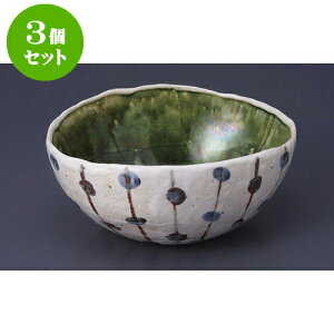 3Zbg t Dʎq [16.5 x 14.5 x 7cm] | aH   {E   ze H Ɩp HX JtF    킢 Mtg v[g j a 蕨 