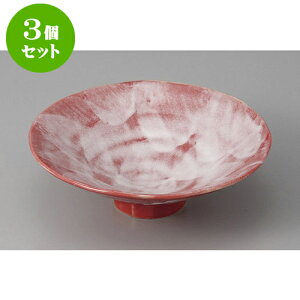 3Zbg t Ԋy16cm [16.2 x 5.2cm] | aH   {E   ze H Ɩp HX JtF    킢 Mtg v[g j a 蕨 i 