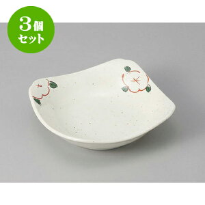 3Zbg  ᕲԊG5.0pM [14 x 14 x 4cm] |   蔫 {E   lC H Ɩp HX JtF    킢  Mtg v[g o 