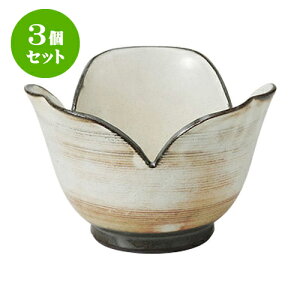 3Zbg  Ԗ䊄R [12.5 x 7cm] |     {E \ lC  H Ɩp HX JtF    킢 Mtg v[gj j 