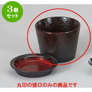 3Zbg Ηpi _ΐ [8 x 6cm 180cc] |    傱  ǂ  lC H Ɩp HX JtF    킢  Mtg v[g 