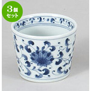 3Zbg Ηpi e\o [8 x 6.5cm 200cc] |    傱  ǂ  lC H Ɩp HX JtF    킢  Mtg v[g 