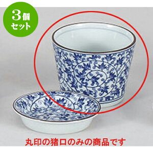 3Zbg Ηpi ΐ [8.3 x 6.3cm] |    傱  ǂ  lC H Ɩp HX JtF    킢  Mtg v[g 