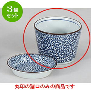 3Zbg Ηpi ݂^Rΐ [8.3 x 6.3cm] |    傱  ǂ  lC H Ɩp HX JtF    킢  Mtg v