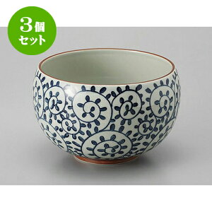 3Zbg  LcđDݘq [8 x 12.5cm] | Dݘ Ԃ JtF  [  ǂ {E H Ɩp HX JtF    킢 Mtg v[g a