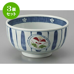 3Zbg  Lcċя\ [16 x 8.5cm] | Dݘ Ԃ JtF  [  ǂ {E H Ɩp HX JtF    킢 Mtg v[g a 