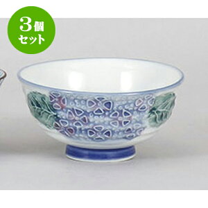 3Zbg `o AWTC`q [12 x 5.8cm] |  q јq ђq  lC  H Ɩp HX JtF    킢 Mtg v[g o a 
