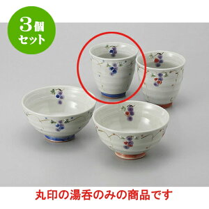 3Zbg r Ԃǂ() [8 x 8cm] | ̂   ꕞ  lC  H Ɩp HX JtF yA    킢 Mtg v[g o a 