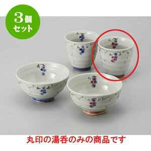 3Zbg r Ԃǂ() [8 x 8cm] | ̂   ꕞ  lC  H Ɩp HX JtF yA    킢 Mtg v[g o a 