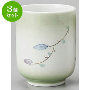 3Zbg g ԓa()O[ [6.2 x 8.5cm 180cc] | ̂   ꕞ  lC  H Ɩp HX JtF yA    킢 Mtg v[g 