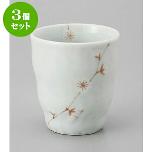 3Zbg  aԃRbv [8 x 8.5cm] | ̂   ꕞ  lC  H Ɩp HX JtF    킢 Mtg v[g o a 蕨