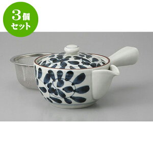 3Zbg Lcċ}{ Lcă^RUt}{ [10.5 x 8.5cm 250cc] | |bg }{ イ yr  ꕞ ܂ lC  H Ɩp HX JtF    킢 