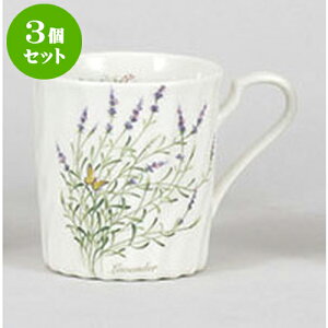 3Zbg }OJbv n[ulW}O@x_[ [8.1 x 8.9cm 300cc] | }O }OJbv R[q[ g eB[ lC  H mH Ɩp HX JtF   Mtg v[