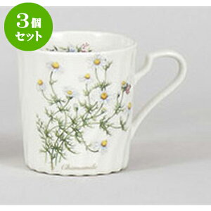 3Zbg }OJbv n[ulW}O@J~[ [8.1 x 8.9cm 300cc] | }O }OJbv R[q[ g eB[ lC  H mH Ɩp HX JtF   Mtg v[