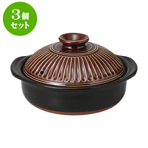 3Zbg y eԃA6 [21 x 19 x 11.5cm] | y  1lp 1l 2lp CX^  قق lC  H Ɩp HX JtF    킢 Mtg 