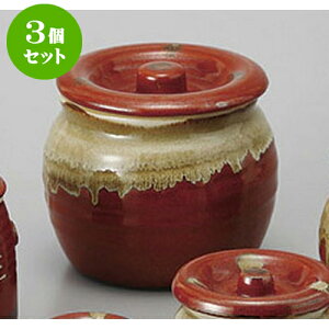 3Zbg J Ԕ5J [13.7 x 12.3cm 1200cc] y   aH HX Ɩpz