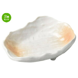 3Zbg  hg ڂ̊^t [ 11 x 8 x 3cm ] | aH   {E  ze H Ɩp HX JtF    킢 Mtg v[g j a 蕨 