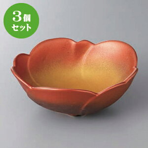 3Zbg  t ʓFt [ 16.5 x 14.1 x 6.2cm ] | aH   {E   ze H Ɩp HX JtF    킢 Mtg v[g j a 